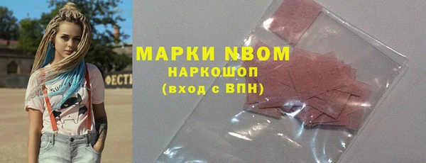 индика Алексин