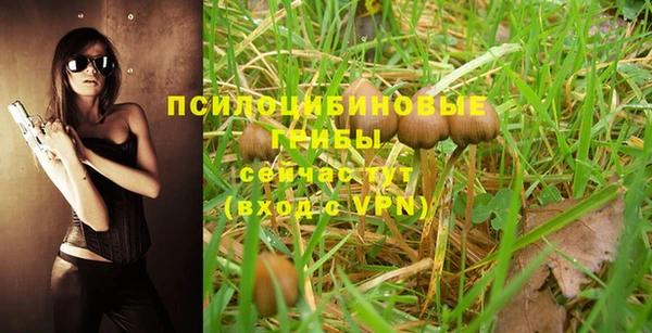 MESCALINE Алзамай
