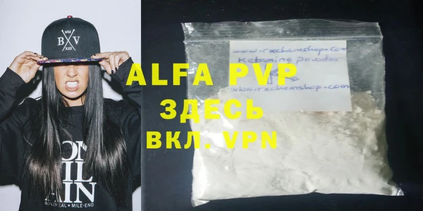 индика Алексин