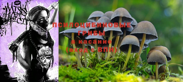 прущий лед Алексеевка