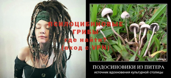гашиш Абаза