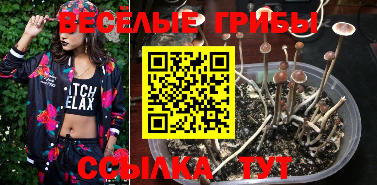 Галлюциногенные грибы MAGIC MUSHROOMS  Вход с VPN  Усть-Лабинск 